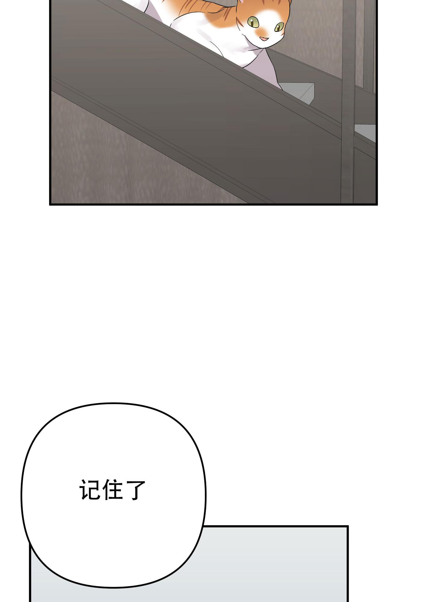 《失败的SEX》漫画最新章节第136话免费下拉式在线观看章节第【13】张图片