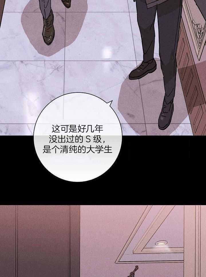 《已婚男(I+II季)》漫画最新章节第105话免费下拉式在线观看章节第【11】张图片