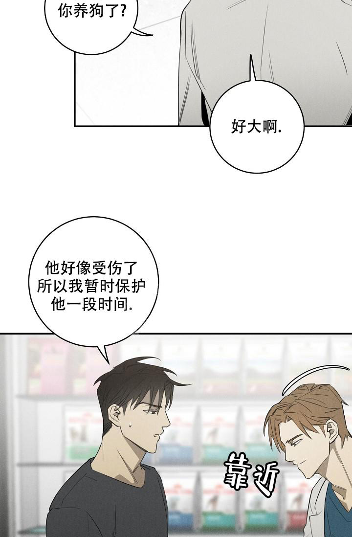 《迷失方向》漫画最新章节第5话免费下拉式在线观看章节第【21】张图片