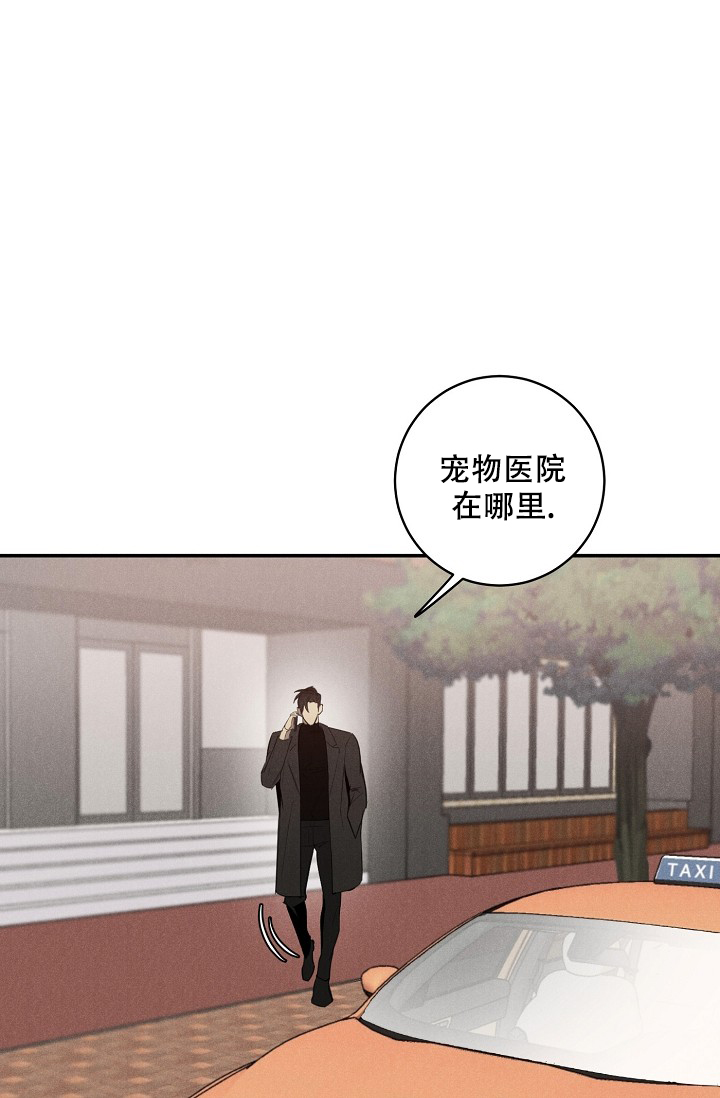 《迷失方向》漫画最新章节第1话免费下拉式在线观看章节第【20】张图片