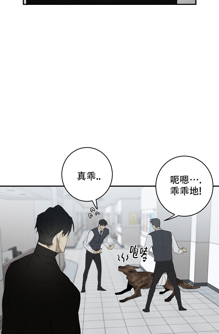 《迷失方向》漫画最新章节第3话免费下拉式在线观看章节第【23】张图片