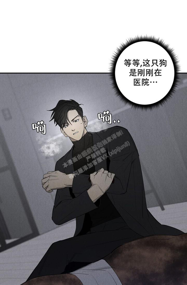 《迷失方向》漫画最新章节第4话免费下拉式在线观看章节第【20】张图片