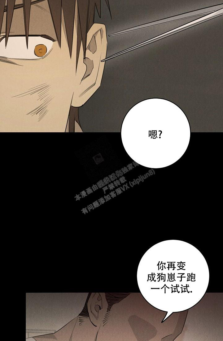 《迷失方向》漫画最新章节第9话免费下拉式在线观看章节第【5】张图片