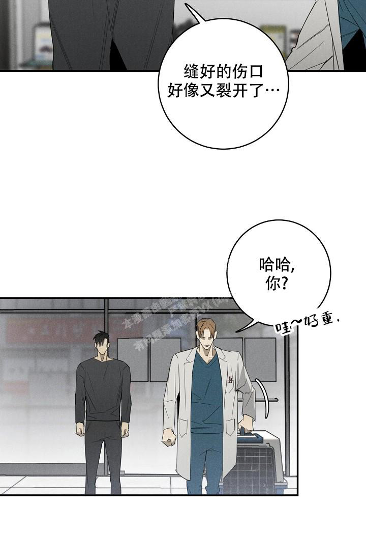 《迷失方向》漫画最新章节第5话免费下拉式在线观看章节第【22】张图片