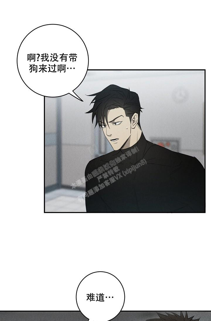 《迷失方向》漫画最新章节第4话免费下拉式在线观看章节第【1】张图片