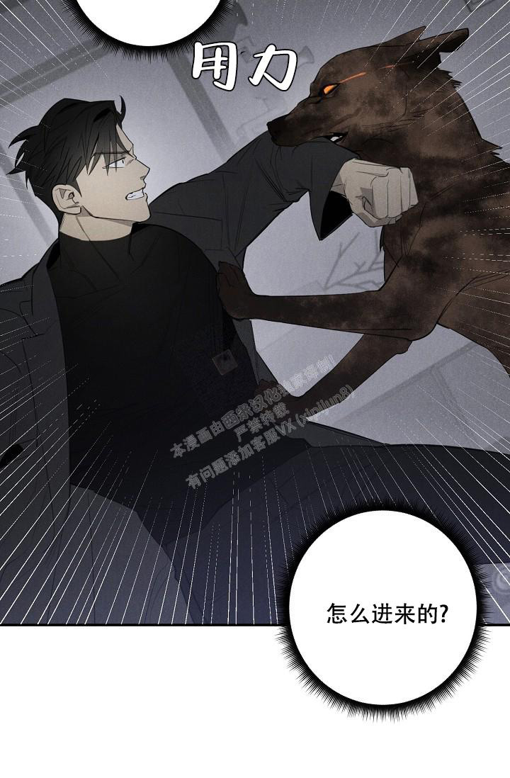 《迷失方向》漫画最新章节第4话免费下拉式在线观看章节第【16】张图片