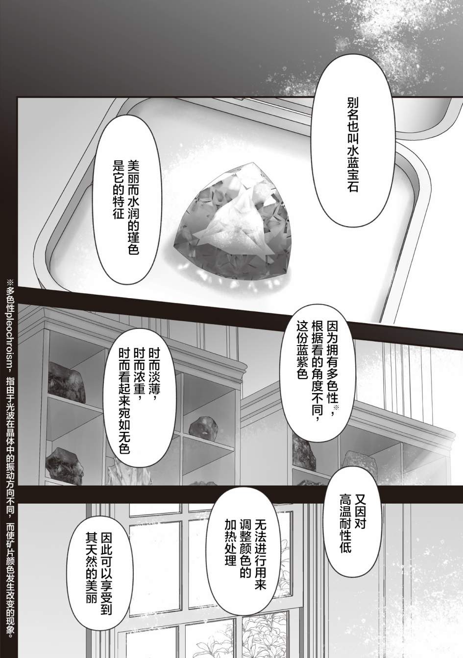 《宝石商人的女仆》漫画最新章节第6.5话免费下拉式在线观看章节第【25】张图片