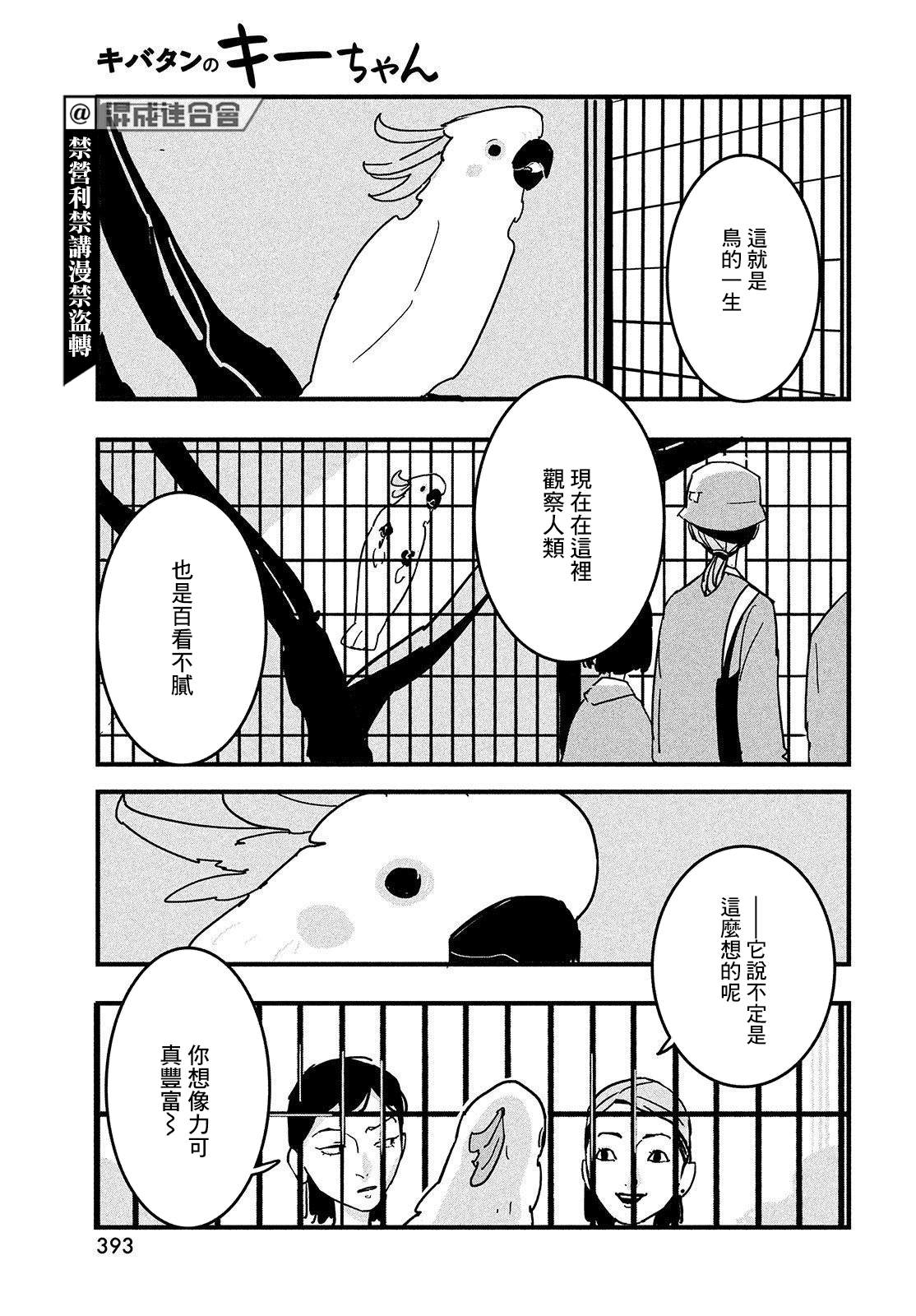 《葵花鹦鹉小叽》漫画最新章节短篇免费下拉式在线观看章节第【31】张图片