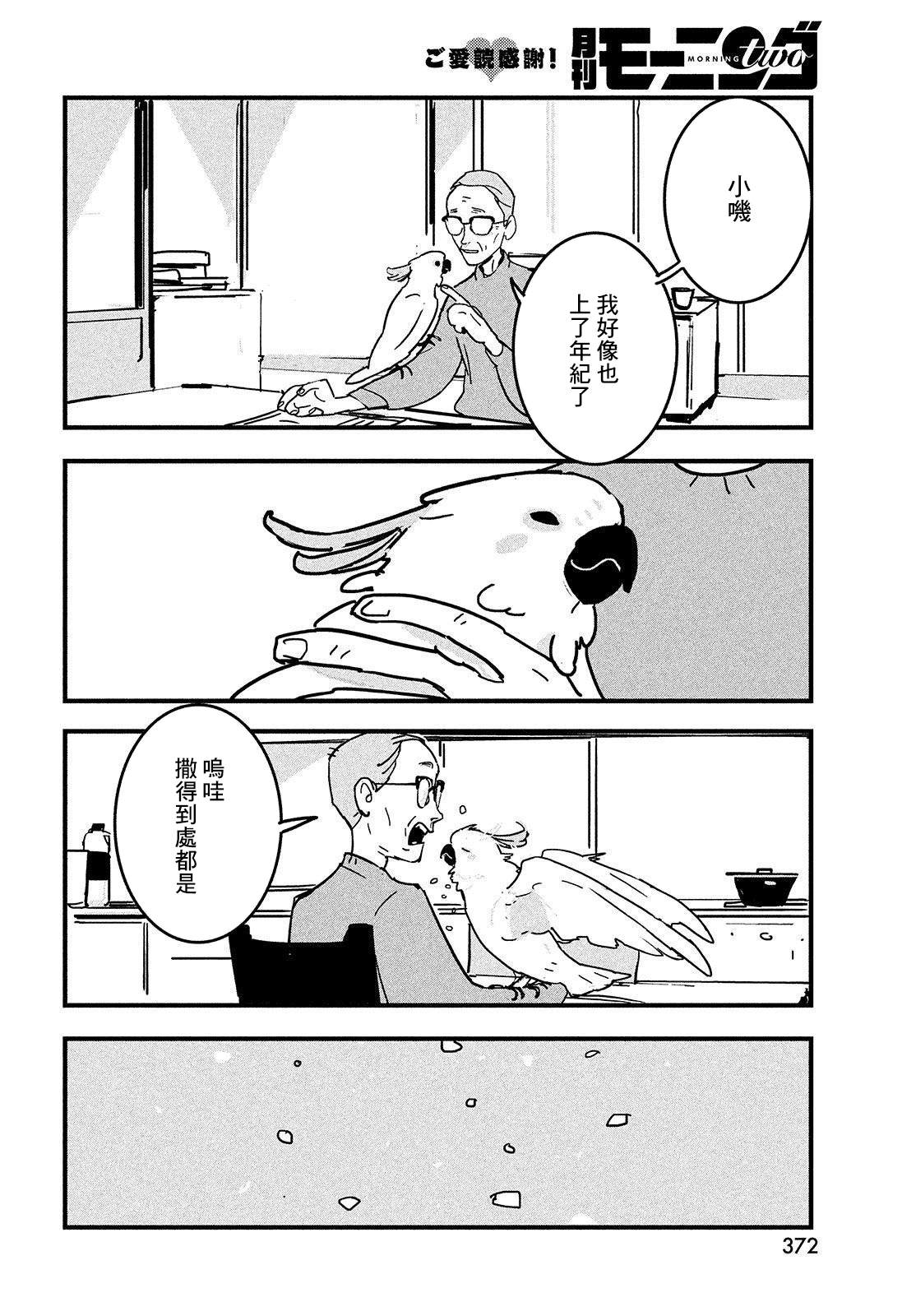 《葵花鹦鹉小叽》漫画最新章节短篇免费下拉式在线观看章节第【10】张图片