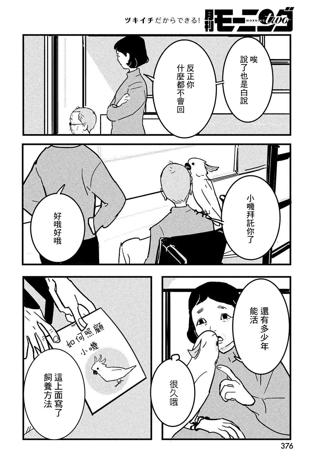 《葵花鹦鹉小叽》漫画最新章节短篇免费下拉式在线观看章节第【14】张图片