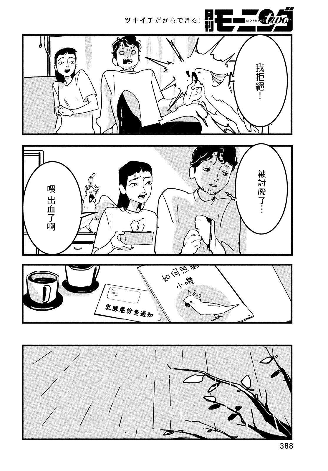 《葵花鹦鹉小叽》漫画最新章节短篇免费下拉式在线观看章节第【26】张图片