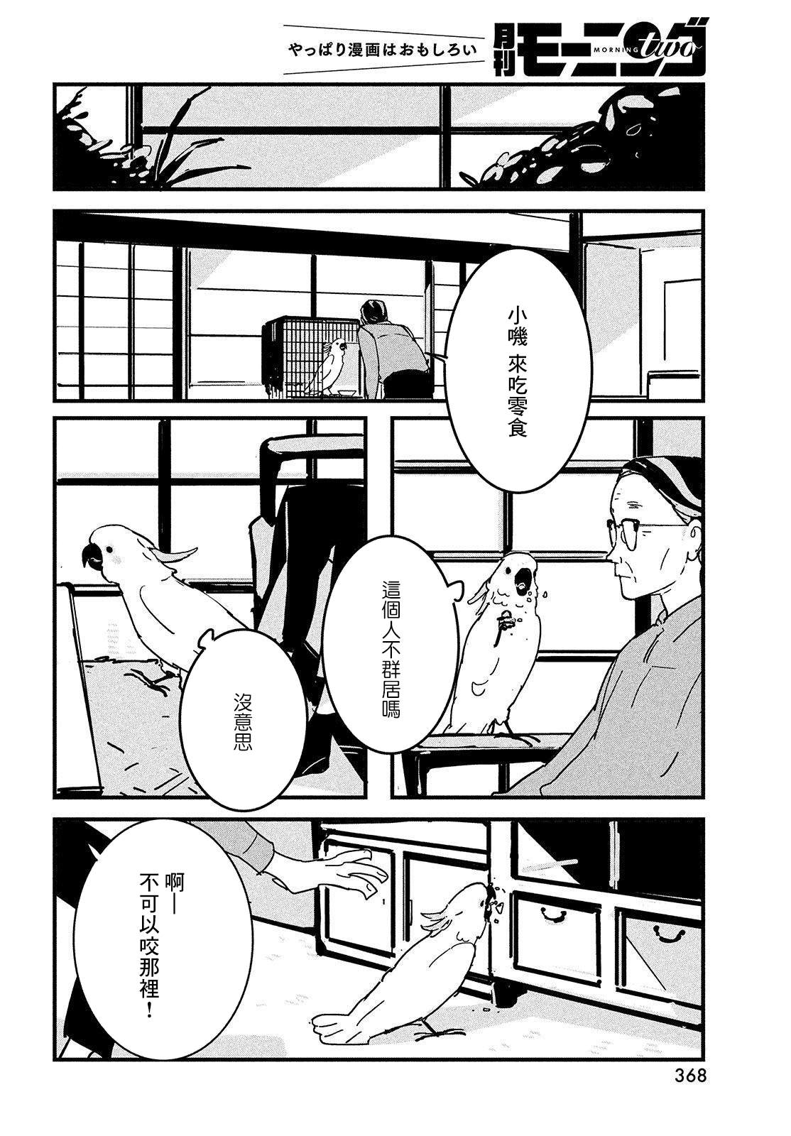 《葵花鹦鹉小叽》漫画最新章节短篇免费下拉式在线观看章节第【6】张图片