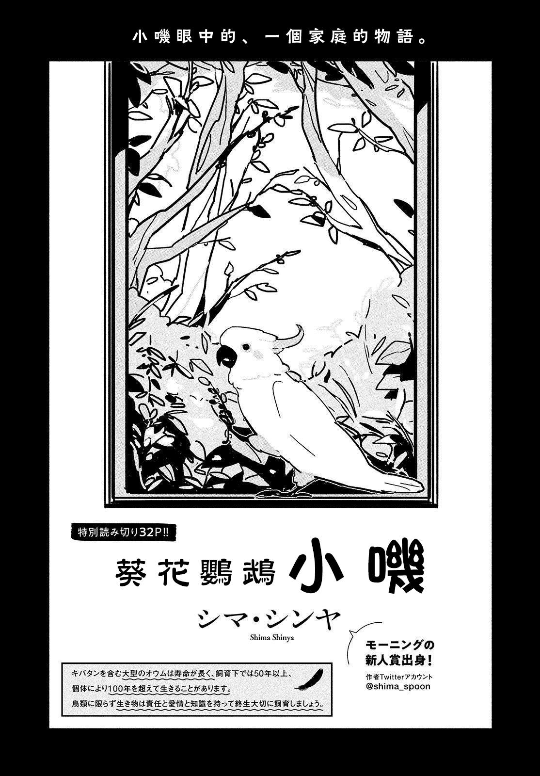 《葵花鹦鹉小叽》漫画最新章节短篇免费下拉式在线观看章节第【2】张图片