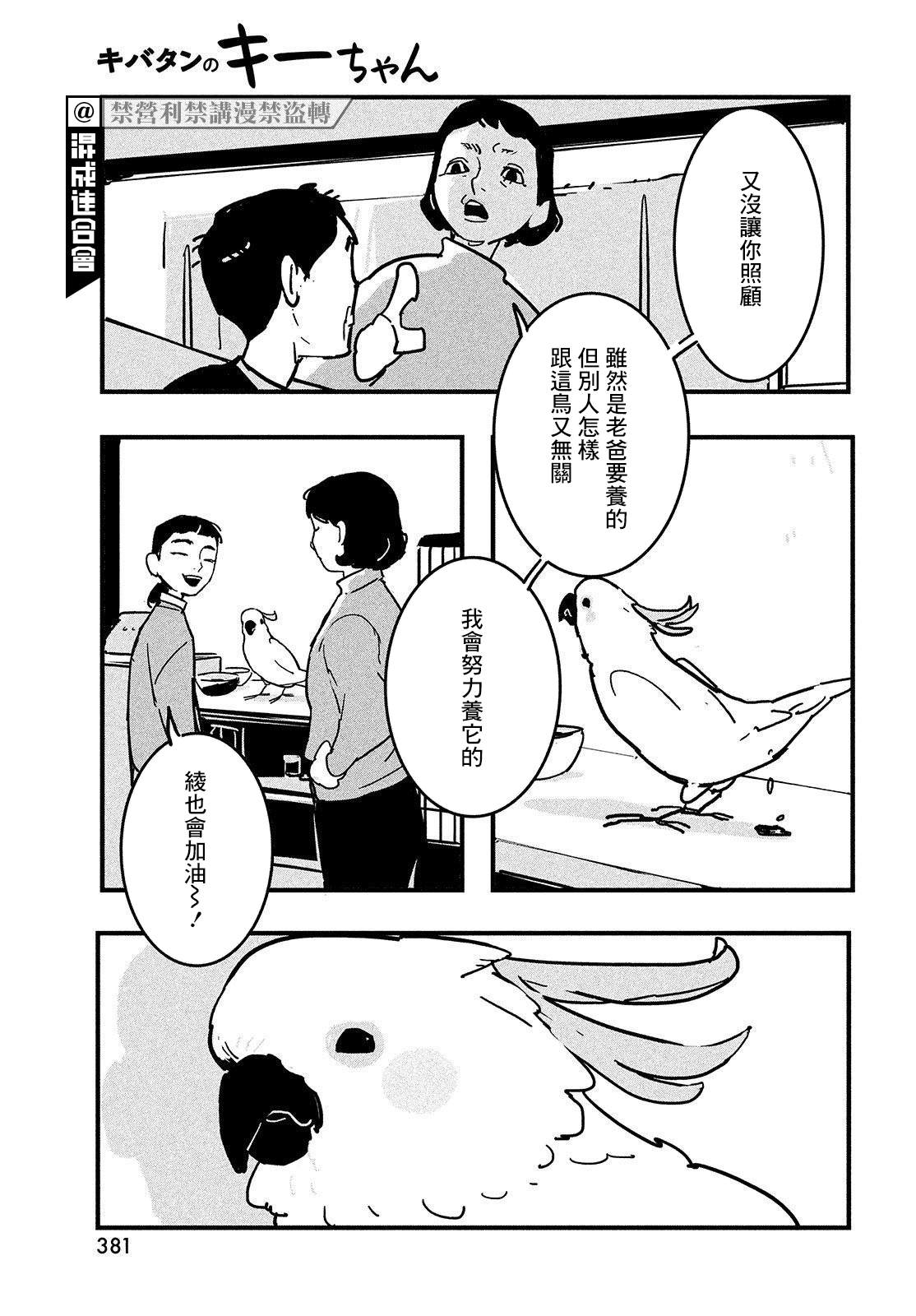 《葵花鹦鹉小叽》漫画最新章节短篇免费下拉式在线观看章节第【19】张图片