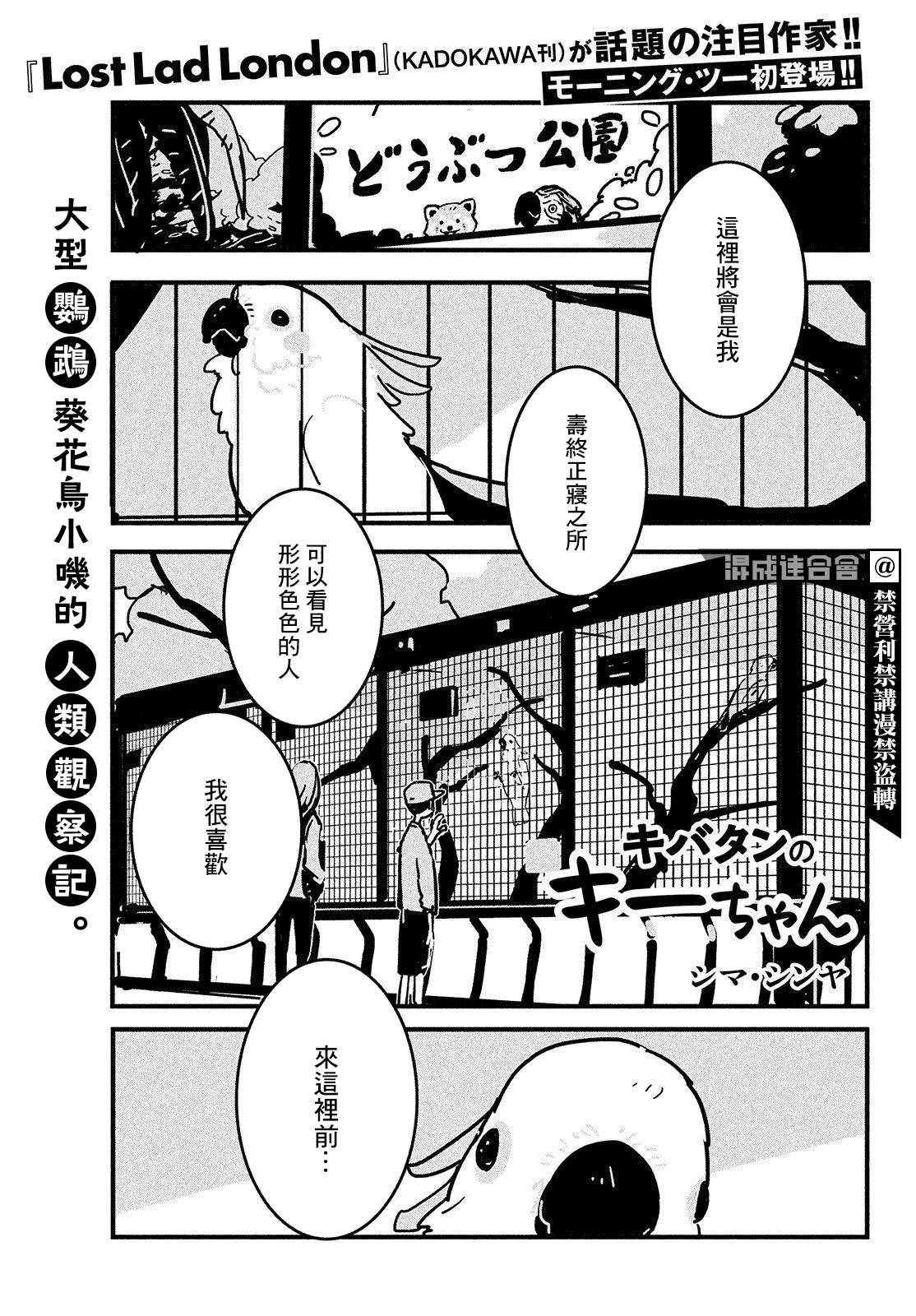 《葵花鹦鹉小叽》漫画最新章节短篇免费下拉式在线观看章节第【1】张图片