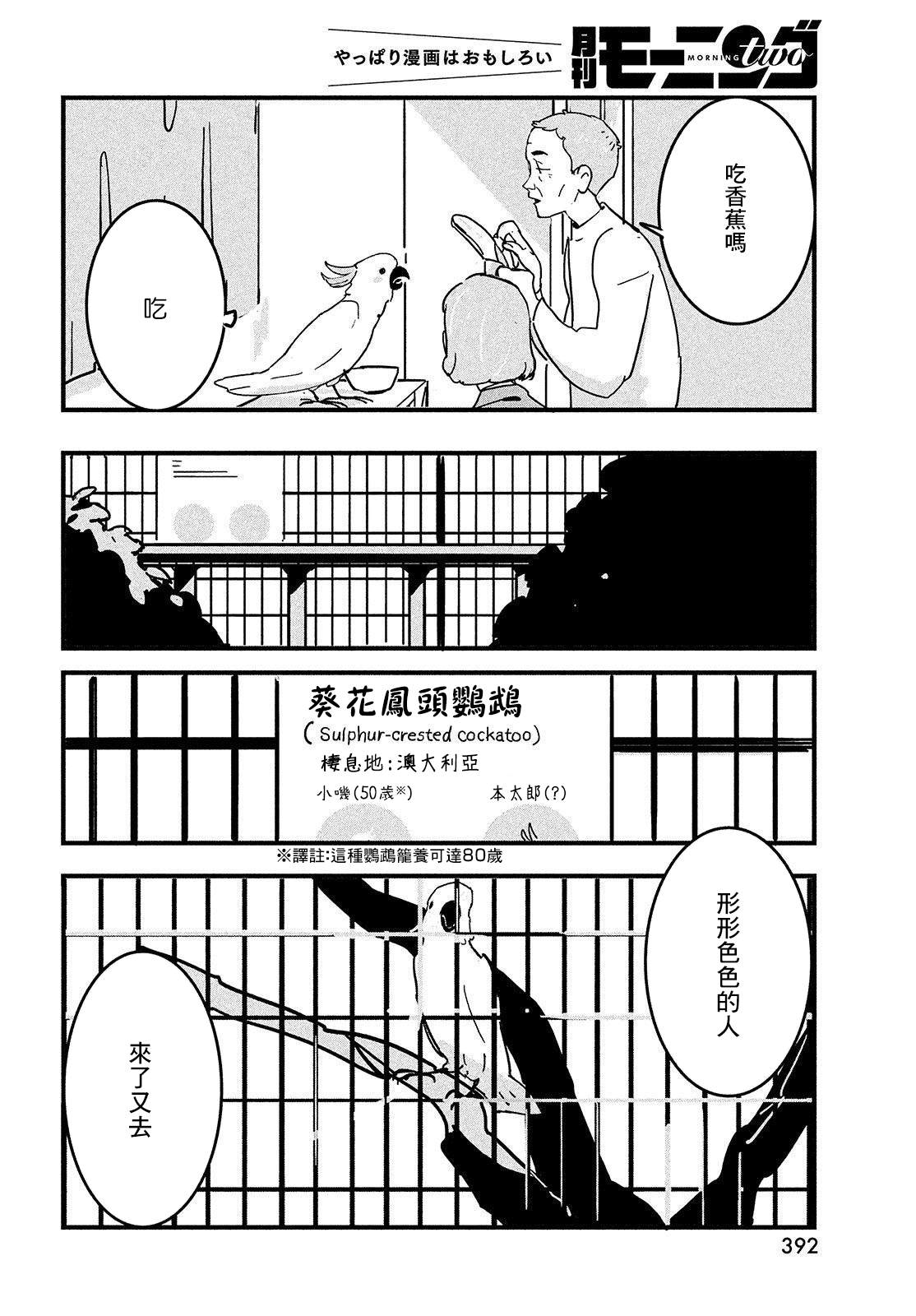 《葵花鹦鹉小叽》漫画最新章节短篇免费下拉式在线观看章节第【30】张图片