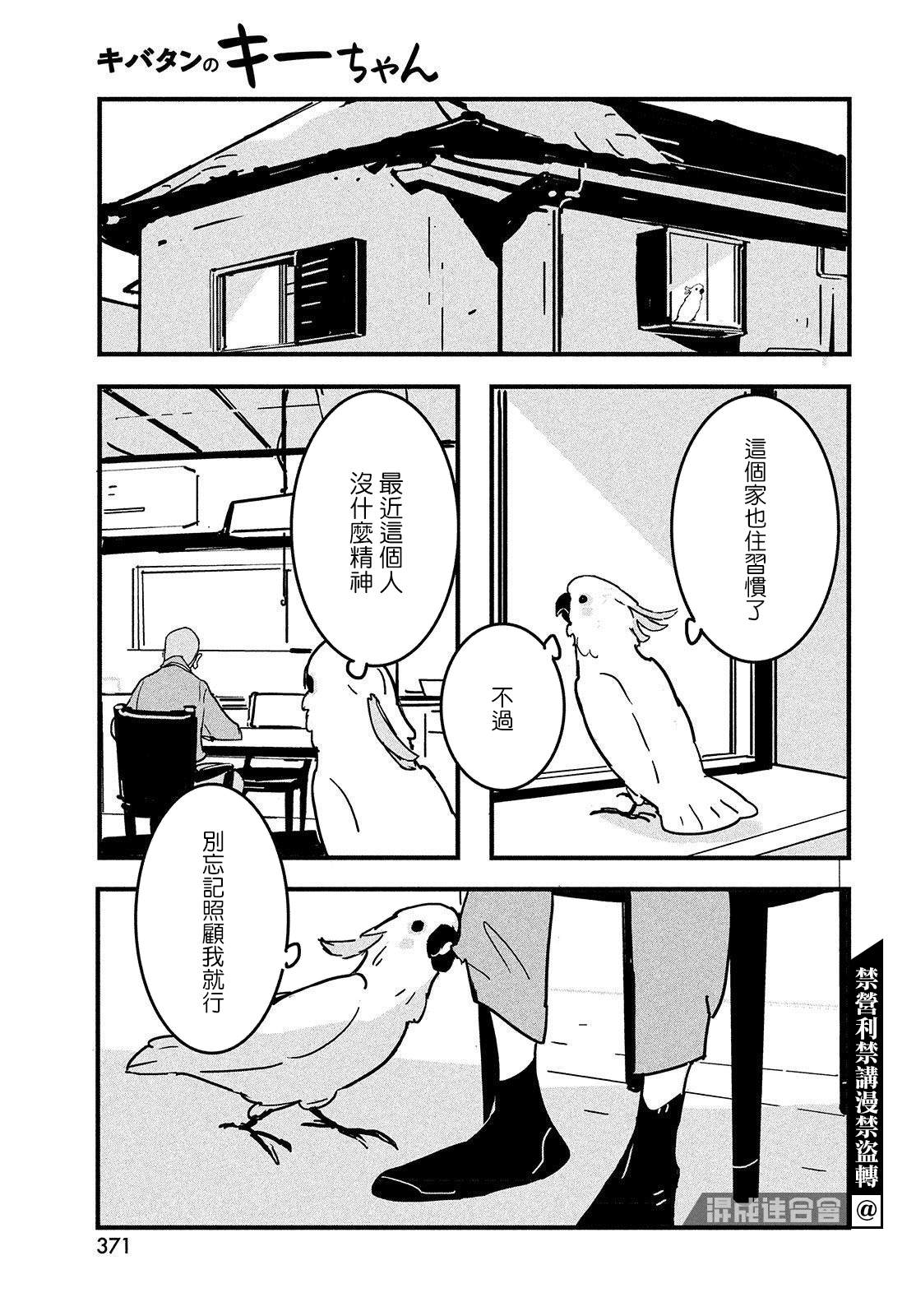 《葵花鹦鹉小叽》漫画最新章节短篇免费下拉式在线观看章节第【9】张图片