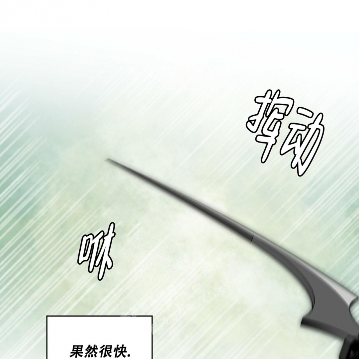 《森林之海》漫画最新章节第11话免费下拉式在线观看章节第【48】张图片