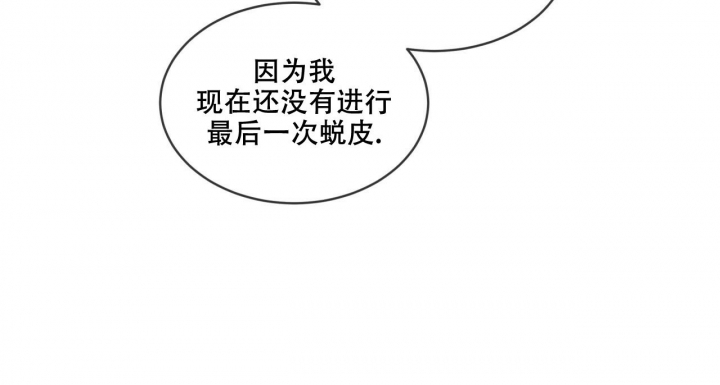 《森林之海》漫画最新章节第9话免费下拉式在线观看章节第【27】张图片