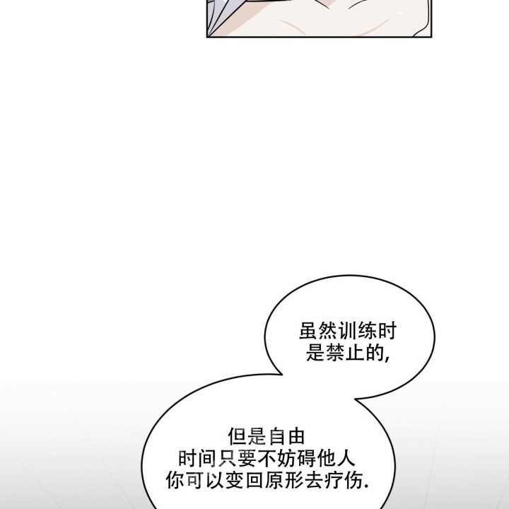 《森林之海》漫画最新章节第9话免费下拉式在线观看章节第【21】张图片