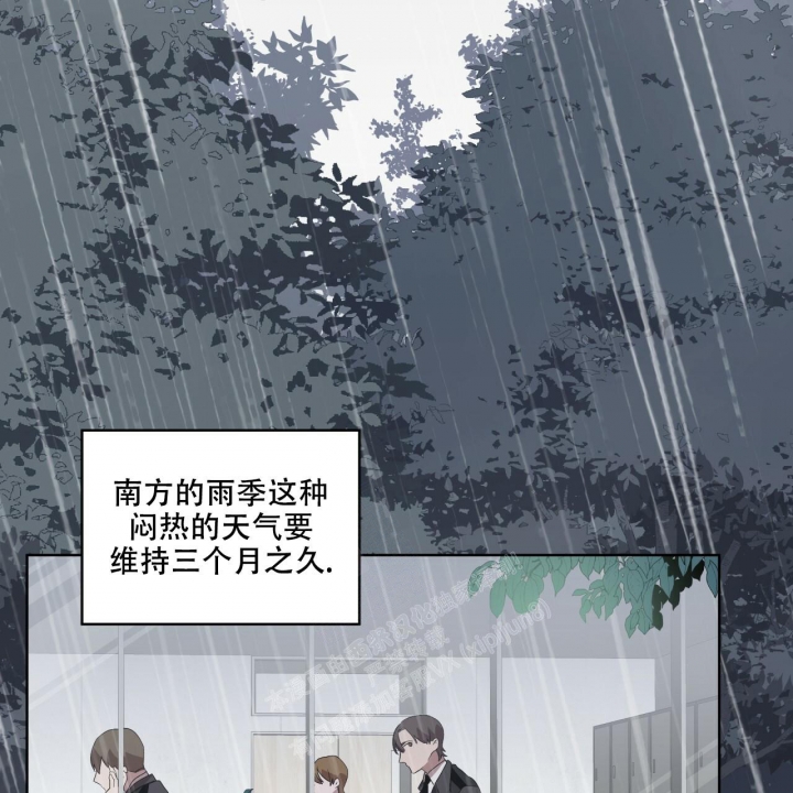 《森林之海》漫画最新章节第11话免费下拉式在线观看章节第【23】张图片