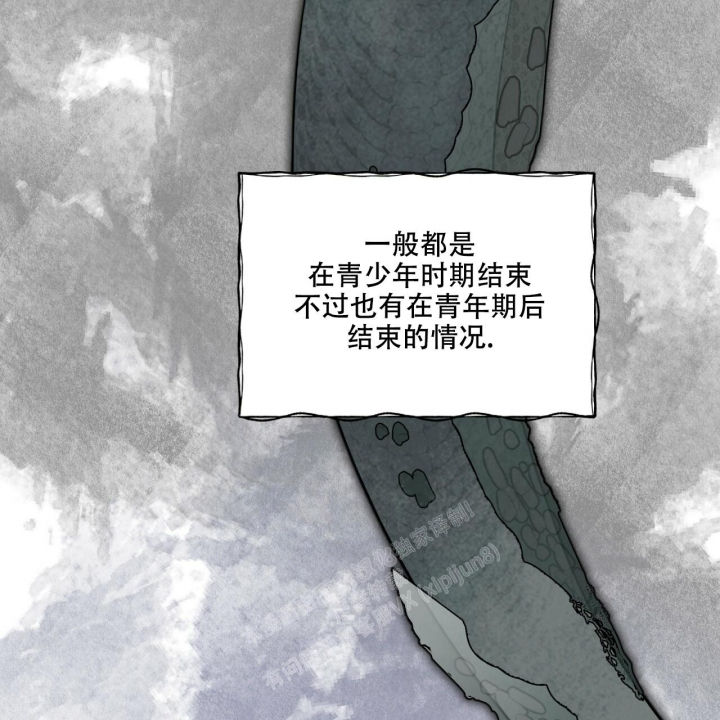 《森林之海》漫画最新章节第9话免费下拉式在线观看章节第【31】张图片