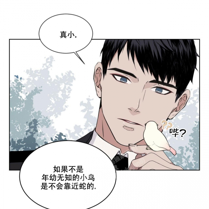 《森林之海》漫画最新章节第6话免费下拉式在线观看章节第【20】张图片