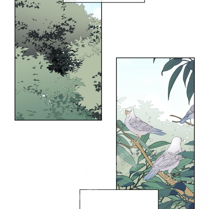 《森林之海》漫画最新章节第8话免费下拉式在线观看章节第【3】张图片