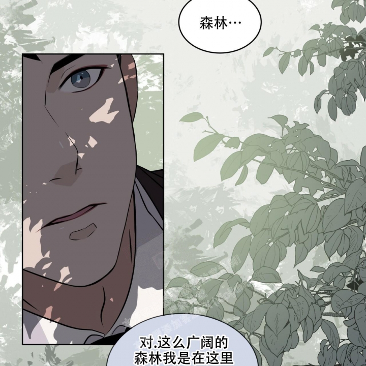 《森林之海》漫画最新章节第10话免费下拉式在线观看章节第【22】张图片