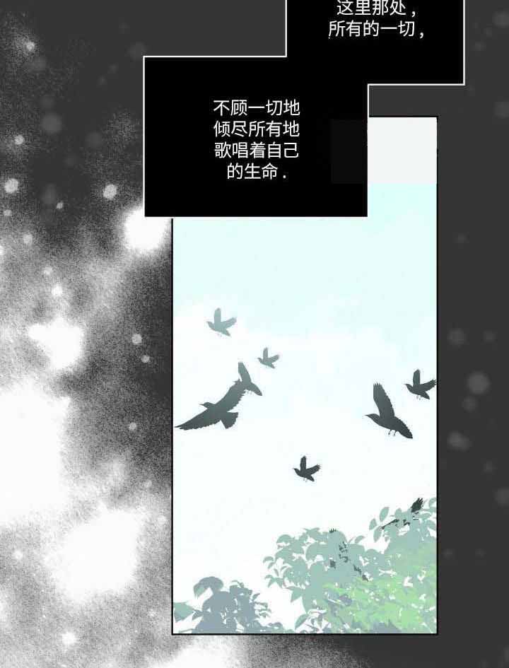 《森林之海》漫画最新章节第22话免费下拉式在线观看章节第【13】张图片