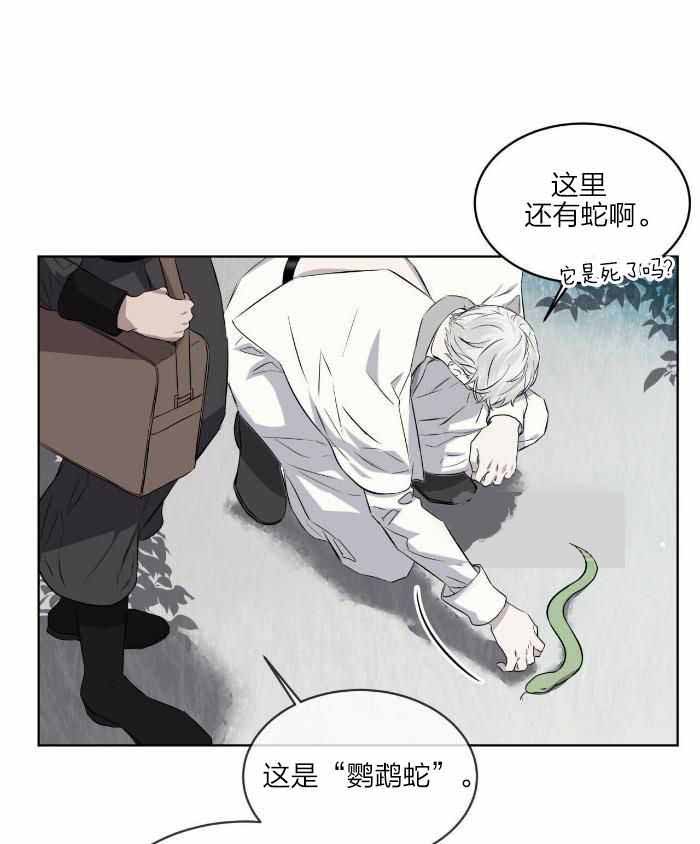 《森林之海》漫画最新章节第24话免费下拉式在线观看章节第【51】张图片