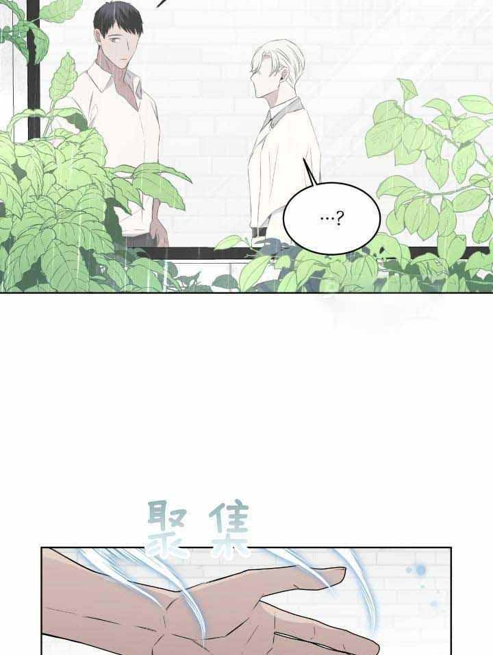 《森林之海》漫画最新章节第17话免费下拉式在线观看章节第【17】张图片