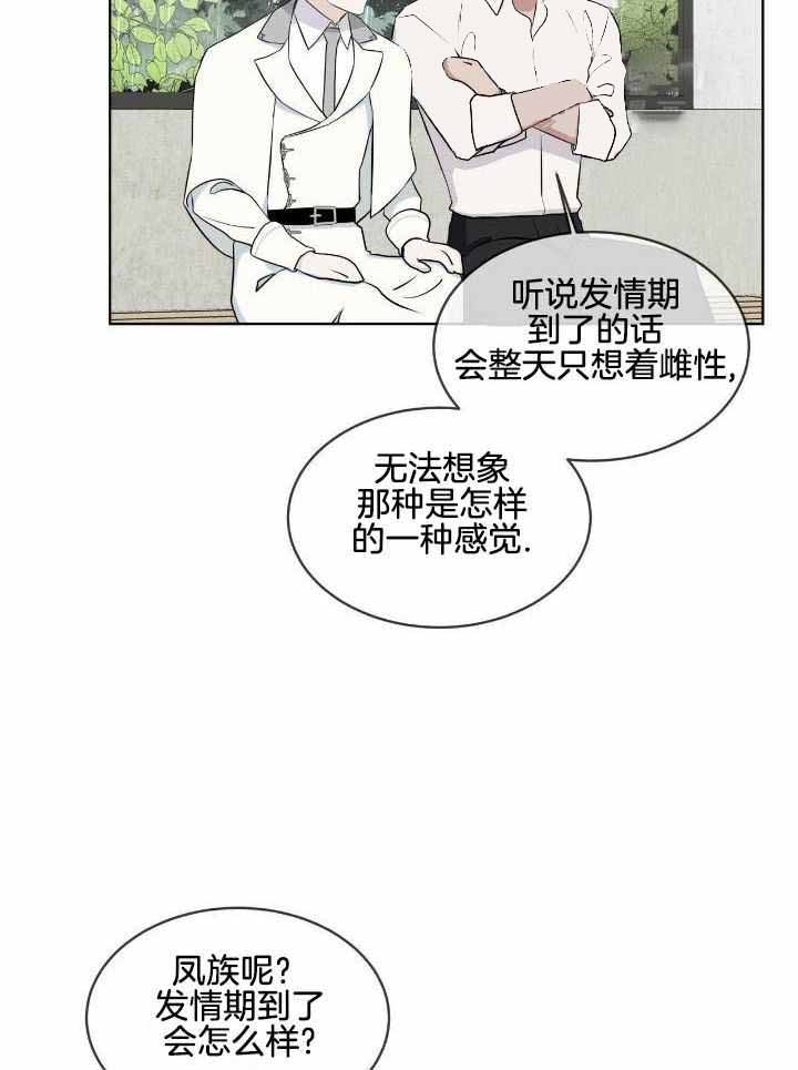 《森林之海》漫画最新章节第16话免费下拉式在线观看章节第【19】张图片