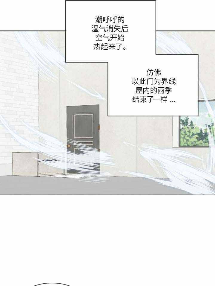 《森林之海》漫画最新章节第17话免费下拉式在线观看章节第【21】张图片