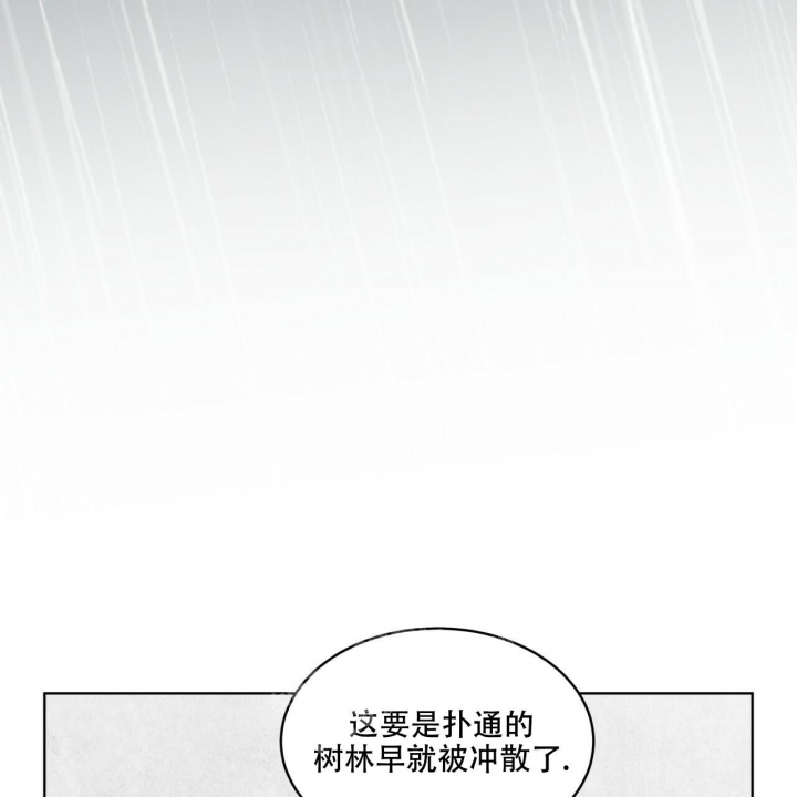 《森林之海》漫画最新章节第11话免费下拉式在线观看章节第【26】张图片