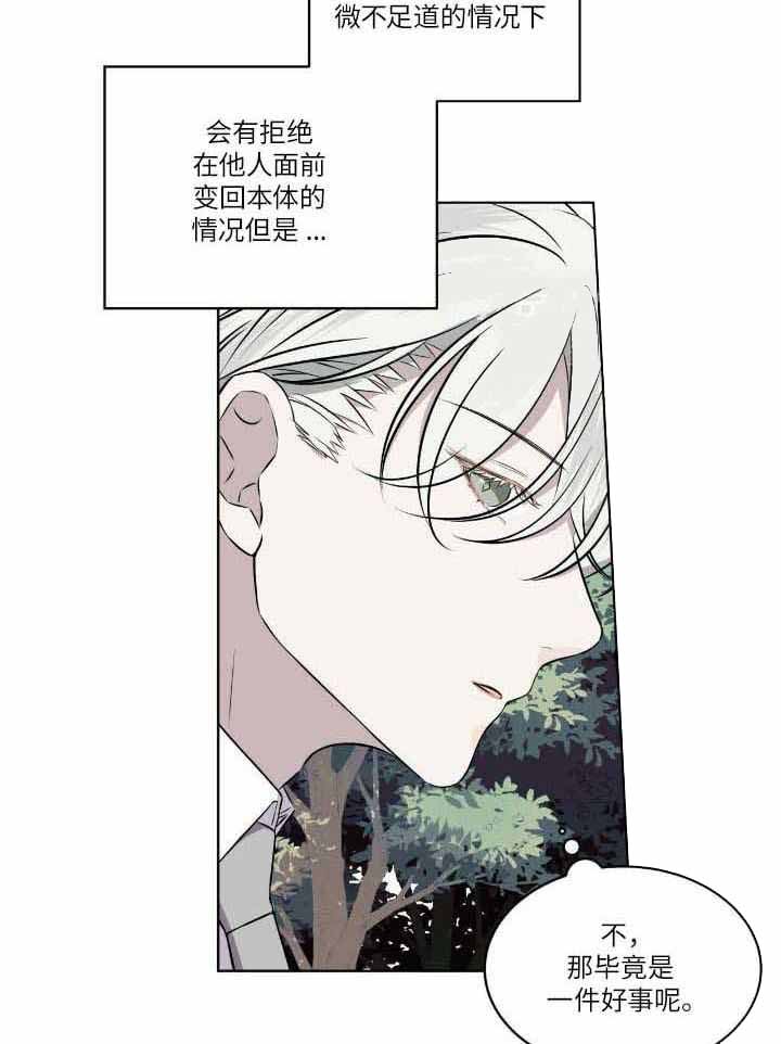 《森林之海》漫画最新章节第19话免费下拉式在线观看章节第【7】张图片