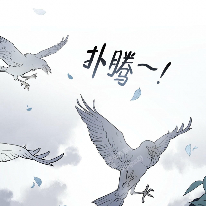 《森林之海》漫画最新章节第6话免费下拉式在线观看章节第【1】张图片