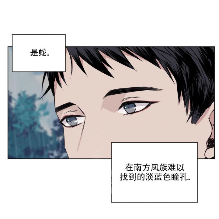 《森林之海》漫画最新章节第8话免费下拉式在线观看章节第【27】张图片