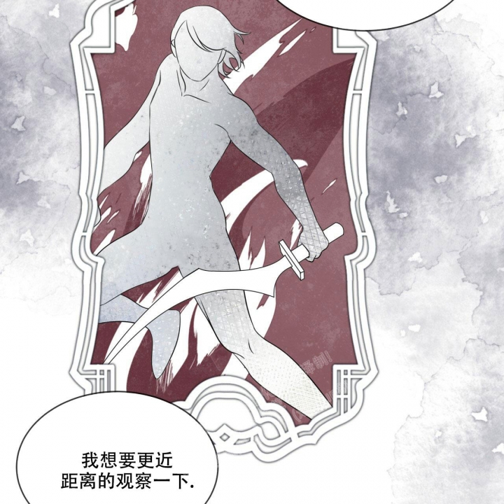 《森林之海》漫画最新章节第6话免费下拉式在线观看章节第【12】张图片