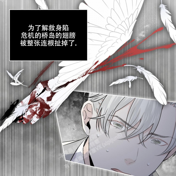 《森林之海》漫画最新章节第7话免费下拉式在线观看章节第【39】张图片