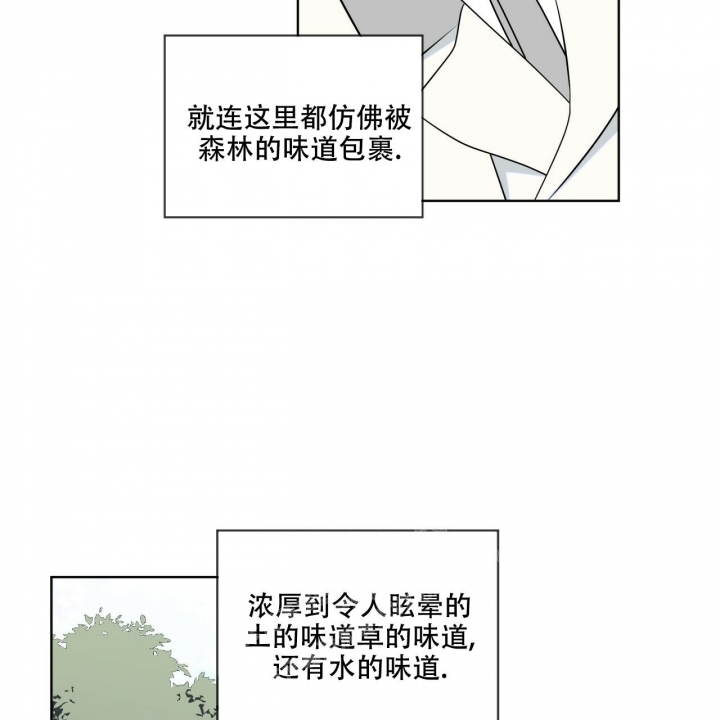 《森林之海》漫画最新章节第8话免费下拉式在线观看章节第【2】张图片