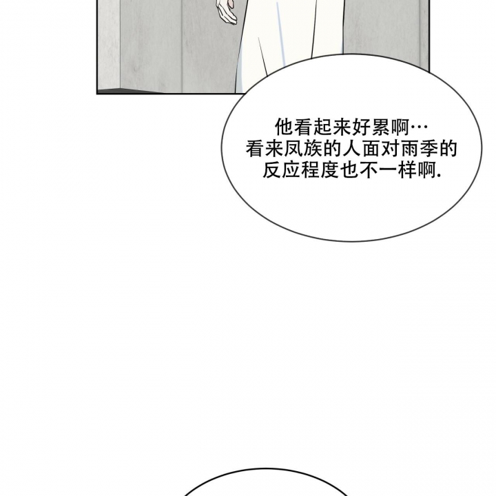 《森林之海》漫画最新章节第13话免费下拉式在线观看章节第【49】张图片