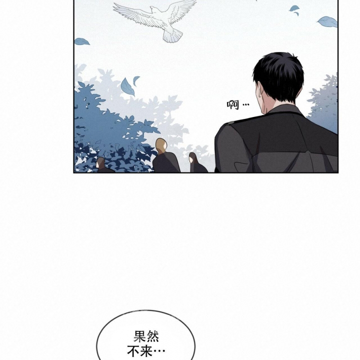 《森林之海》漫画最新章节第5话免费下拉式在线观看章节第【38】张图片