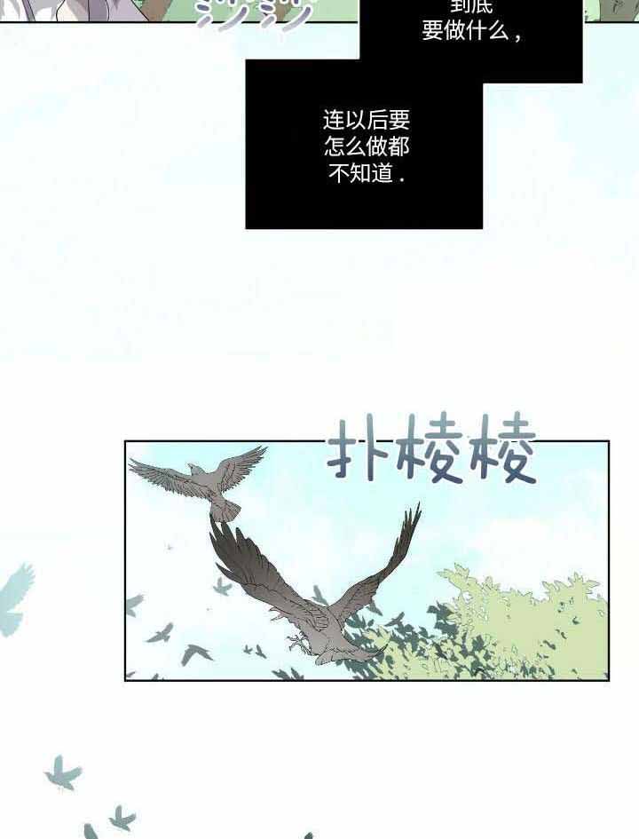 《森林之海》漫画最新章节第22话免费下拉式在线观看章节第【5】张图片