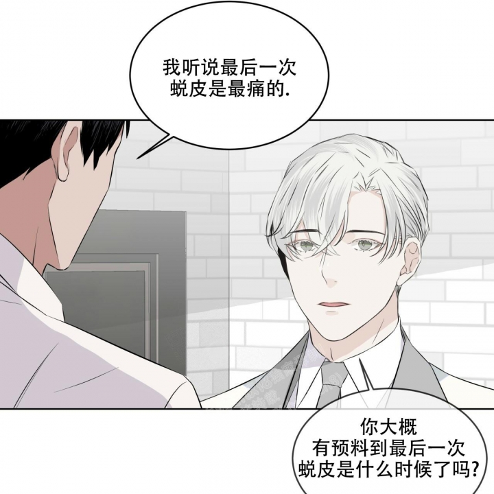 《森林之海》漫画最新章节第12话免费下拉式在线观看章节第【11】张图片