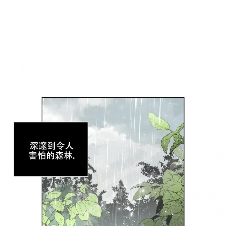 《森林之海》漫画最新章节第14话免费下拉式在线观看章节第【26】张图片