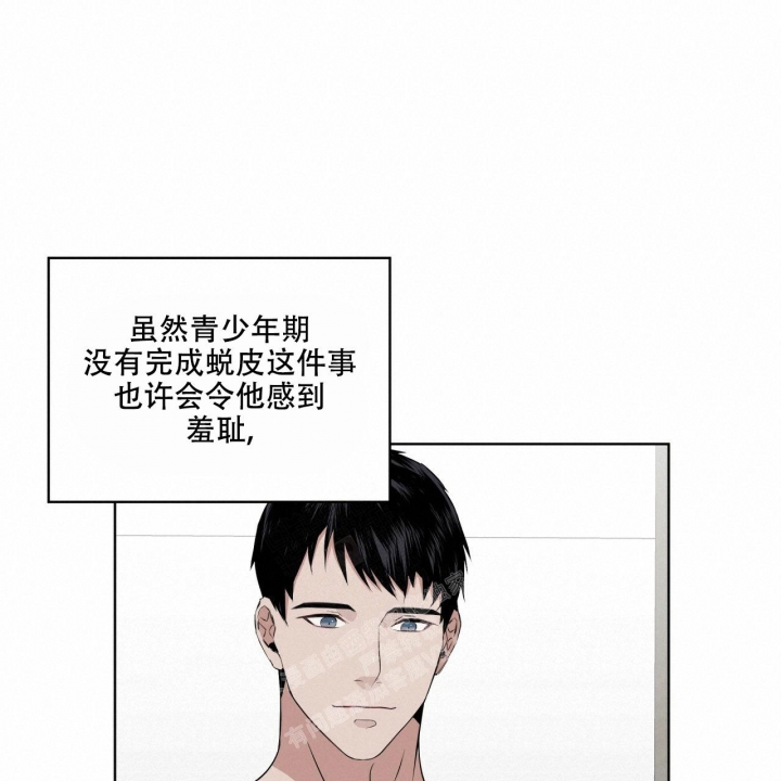 《森林之海》漫画最新章节第9话免费下拉式在线观看章节第【34】张图片