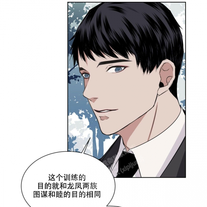 《森林之海》漫画最新章节第6话免费下拉式在线观看章节第【10】张图片