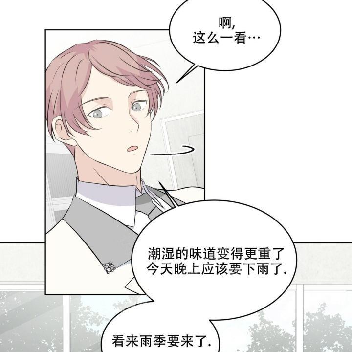 《森林之海》漫画最新章节第7话免费下拉式在线观看章节第【52】张图片