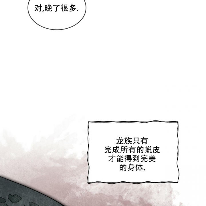 《森林之海》漫画最新章节第9话免费下拉式在线观看章节第【29】张图片